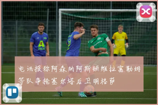 电讯报称阿森纳阿斯顿维拉富勒姆等队争抢塞尔塔后卫明格萨